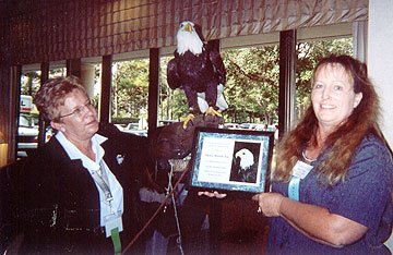 Trouble - the American Bald Eagle