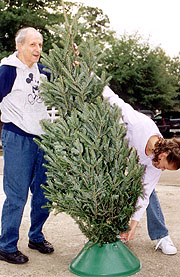 Eads prepare christmas tree