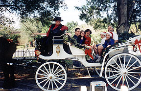 Horse drawn buggy rides.