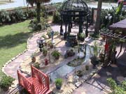 WeddingGarden