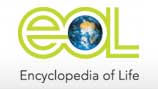 Encyclopedia of Life logo