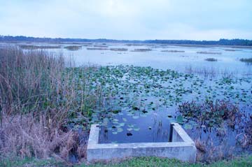 Weir Structure