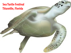 Titusville Sea Turtle Festival
