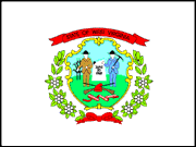 West Virginia Flag