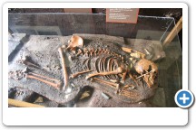 Windover Skeleton Found