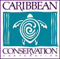 Caribbean Conservation Corp. logo