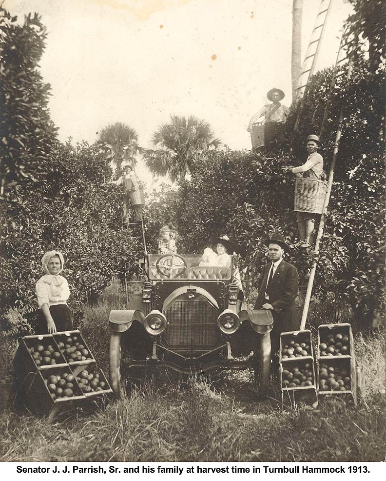 Parrish Family in Turnbull Hammock Groves - 1913.