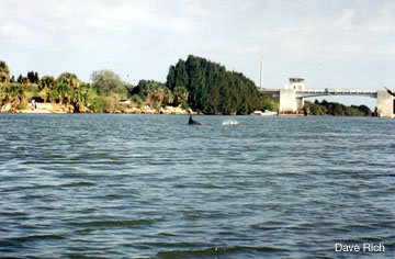 Haulover Canal - 1999