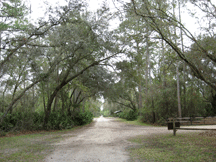 Tosohatchee trail to the interior.