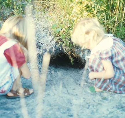Girls at gopher tortoise burrow.