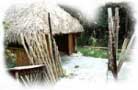 Indian Village hut