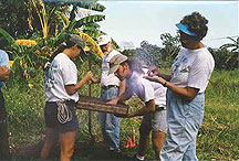 Screening at a dig.