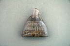 perfumebottle