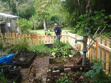 Our garden in progress Our garden in progress
