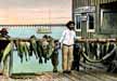 The day's catch of fish.