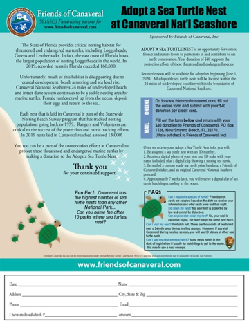 Adopt a Sea Turtle Nest at Canaveral Nan Seashore