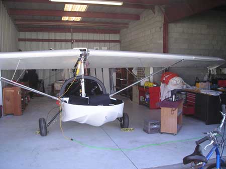 SeaRey day the wings#10014