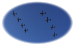 Formation flying at the Space Coast Warbird AirShow.