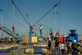 Good sized amusement area.