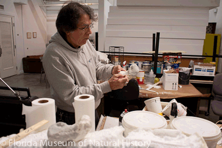 MastodonReconstruction-04