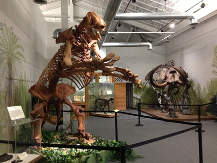 By-gone beasts exhibit hall