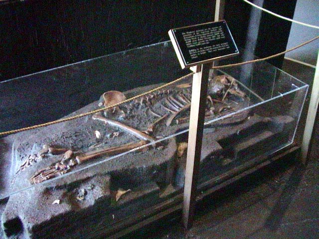 03-Skeleton