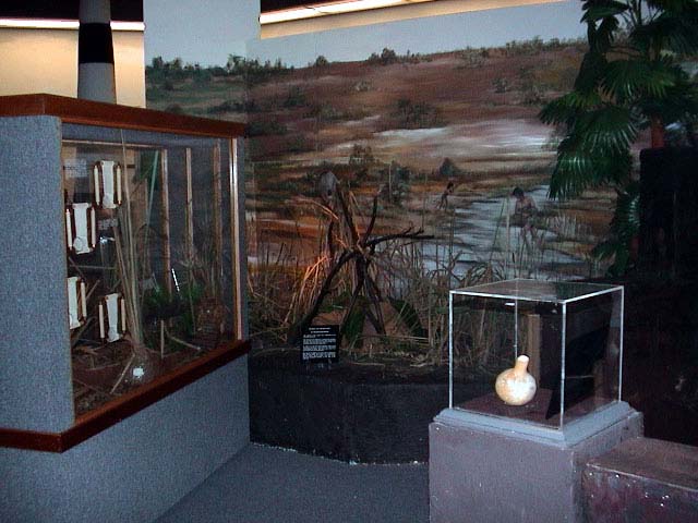 04-Diorama