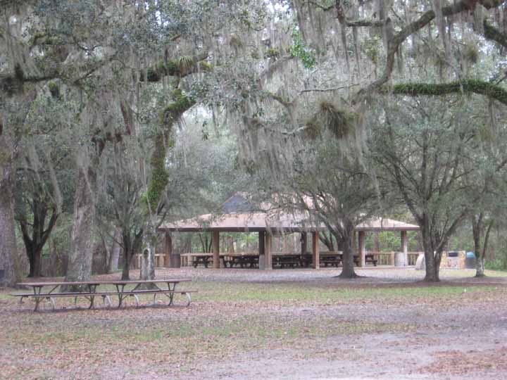 04-Grounds-3