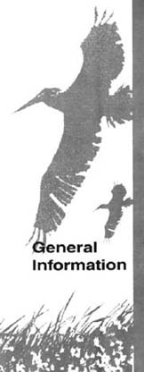 General Information