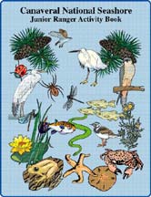 Cover of the Junior Ranger Activity Book