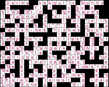 Crossword Puzzle Solution