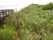 Boardwalk #8 before 2004 hurricanes.