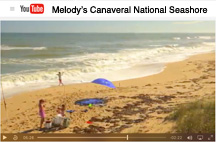 A local artist's day at Canaveral National Seashore.