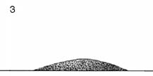 Right Whale 3