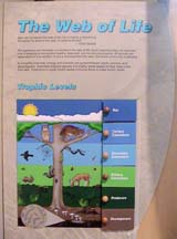 e-weboflife