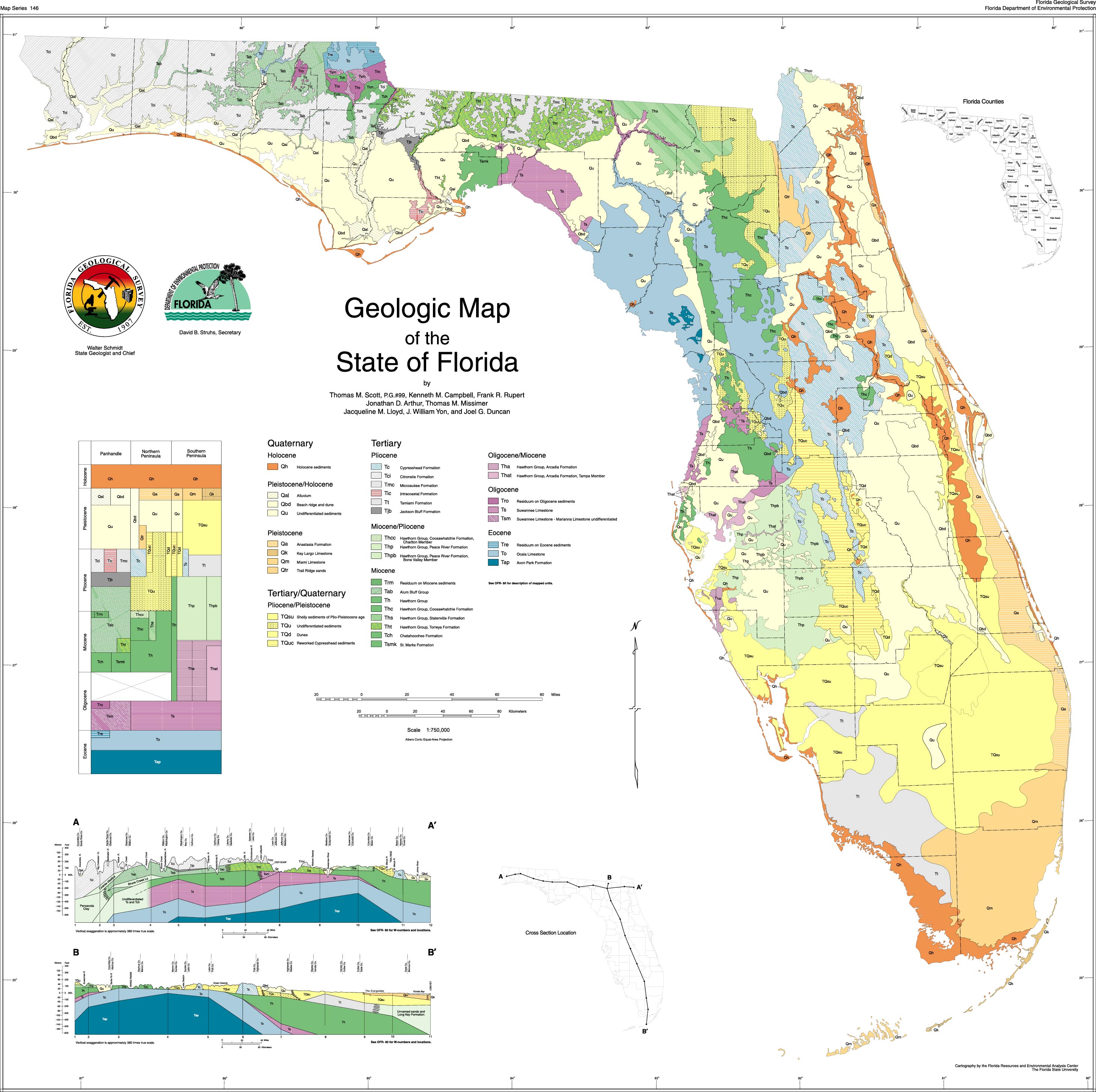Florida Geology Enchanted Forest Nature Sanctuary Titusville