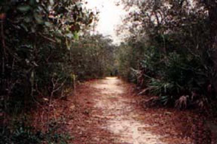 Scrub Trail