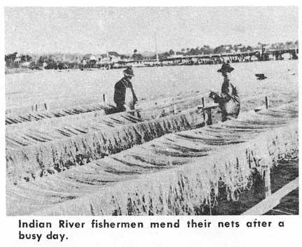 Titusville fishermen.