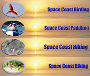 Space Coast Birding, Hiking, Biking & Paddling opportunities.