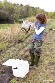 Trisha Crabill with a captured greater Siren.
