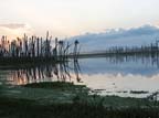 MixedMarshScenic-2