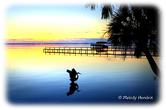 Sunrise over the Indian River Lagoon at Manatee Hammock.