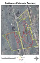ScottsmoorFlatwoods