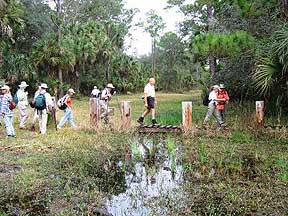 Tosohatchee hike - 2