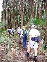 Tosohatchee hike - 3