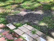 Location of the Gopher tortoise nest Location of the Gopher tortoise nest