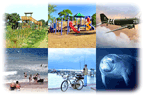 Click for challenge sheets for Soft Adventures in North Brevard Florida.
