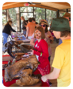 Checking out fossils