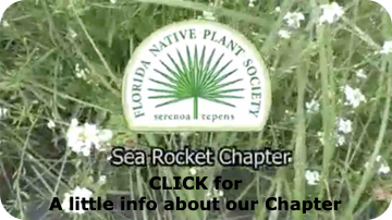 Video introduction to Sea Rocket Chapter FNPS.