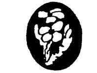 Florida Native Plant Society